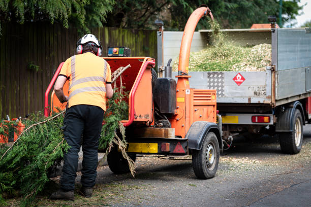 Best Lawn Drainage Solutions  in Ken Caryl, CO