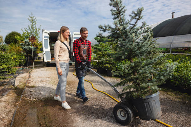 Best Tree Preservation Services  in Ken Caryl, CO